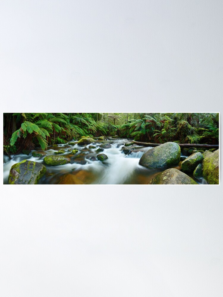 Alternate view of Toorongo River, Gippsland, Victoria, Australia Poster