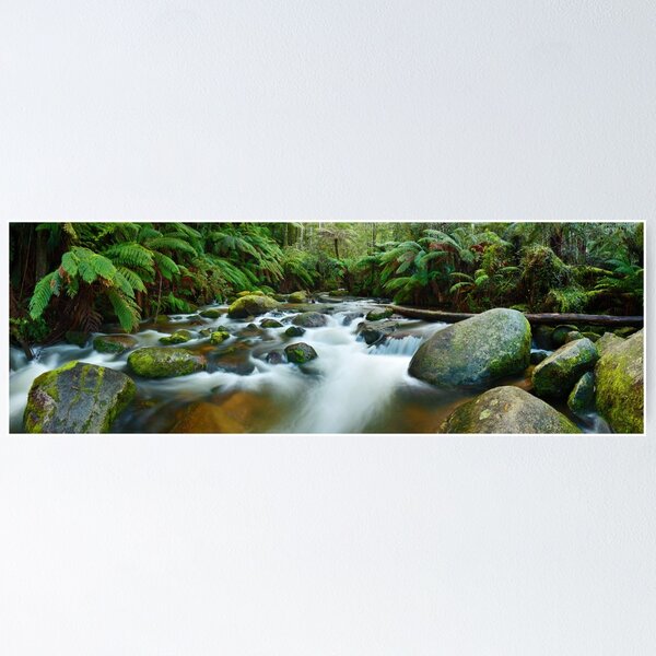 Item preview, Toorongo River, Gippsland, Victoria, Australia designed and sold by Michael Boniwell.