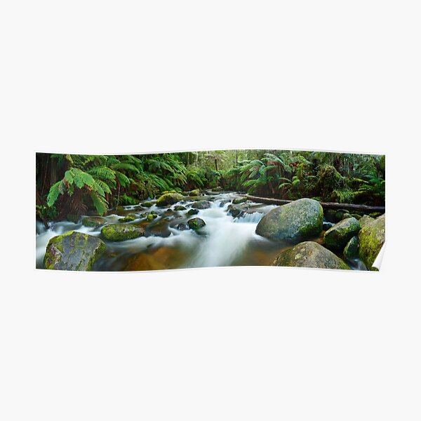 Toorongo River, Gippsland, Victoria, Australia Poster
