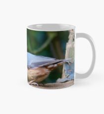 Nuthatch (Sitta Europaea) Mug