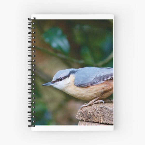 Item preview, Nuthatch (Sitta Europaea) designed and sold by Rob Cole Photography.