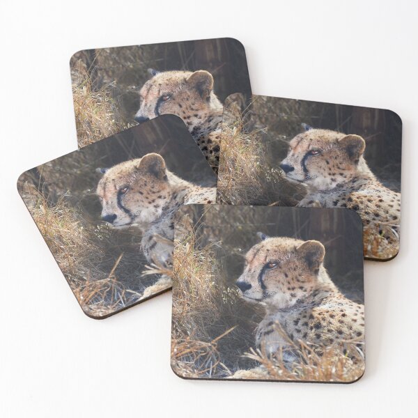 Item preview, Glow-Up designed and sold by EHampson18.