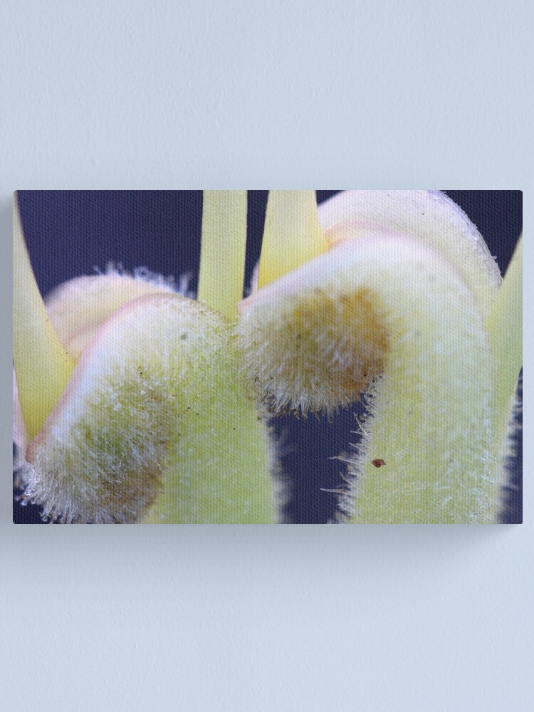 Alternate view of Close encounters Canvas Print