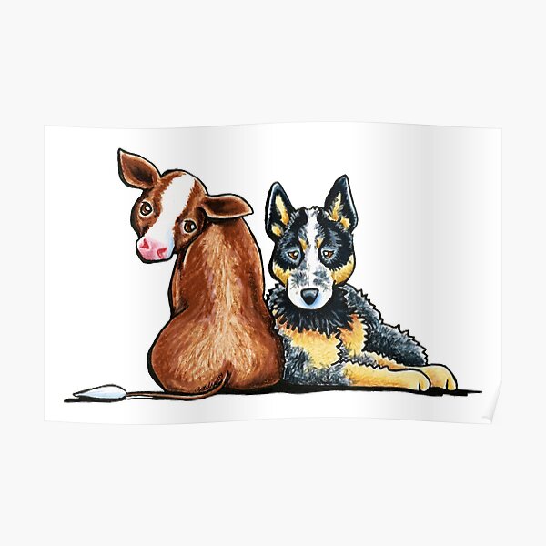 Australian Cattle Dog Poster