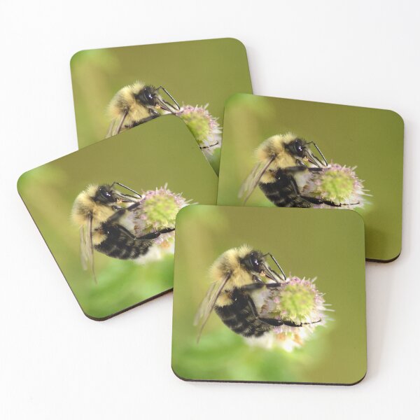 Item preview, Bees in the Mint! designed and sold by PatSeg Photos.