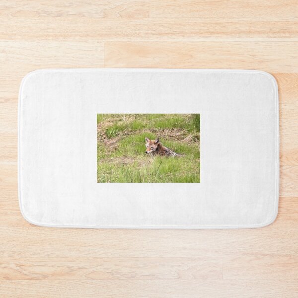 Item preview, Coyote in The Grass.. designed and sold by RichImage.
