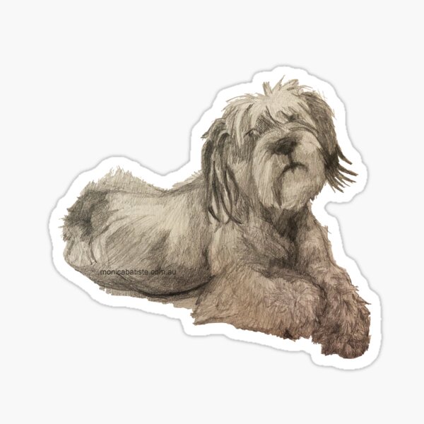 Scruffy Dog looking at you, illustration original work Sticker