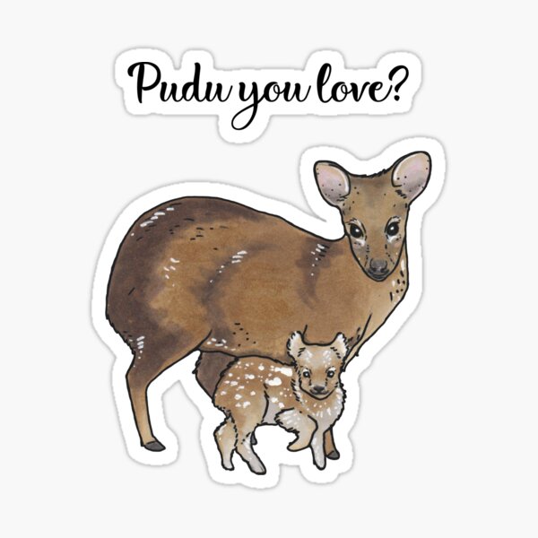 Artikel-Vorschau von Pudu – Tierserie, designt und verkauft von BeeHappyShop.