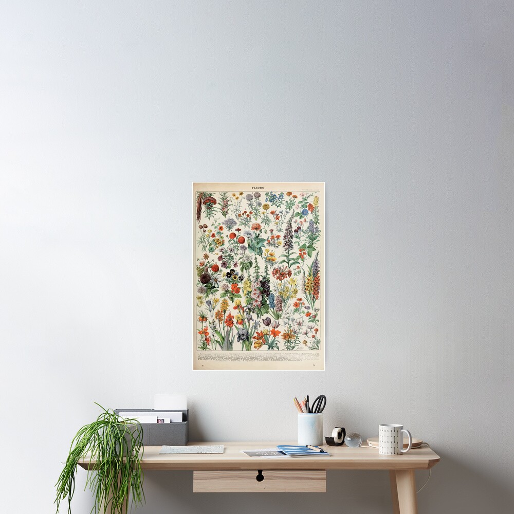 Adolphe Millot fleurs A Poster