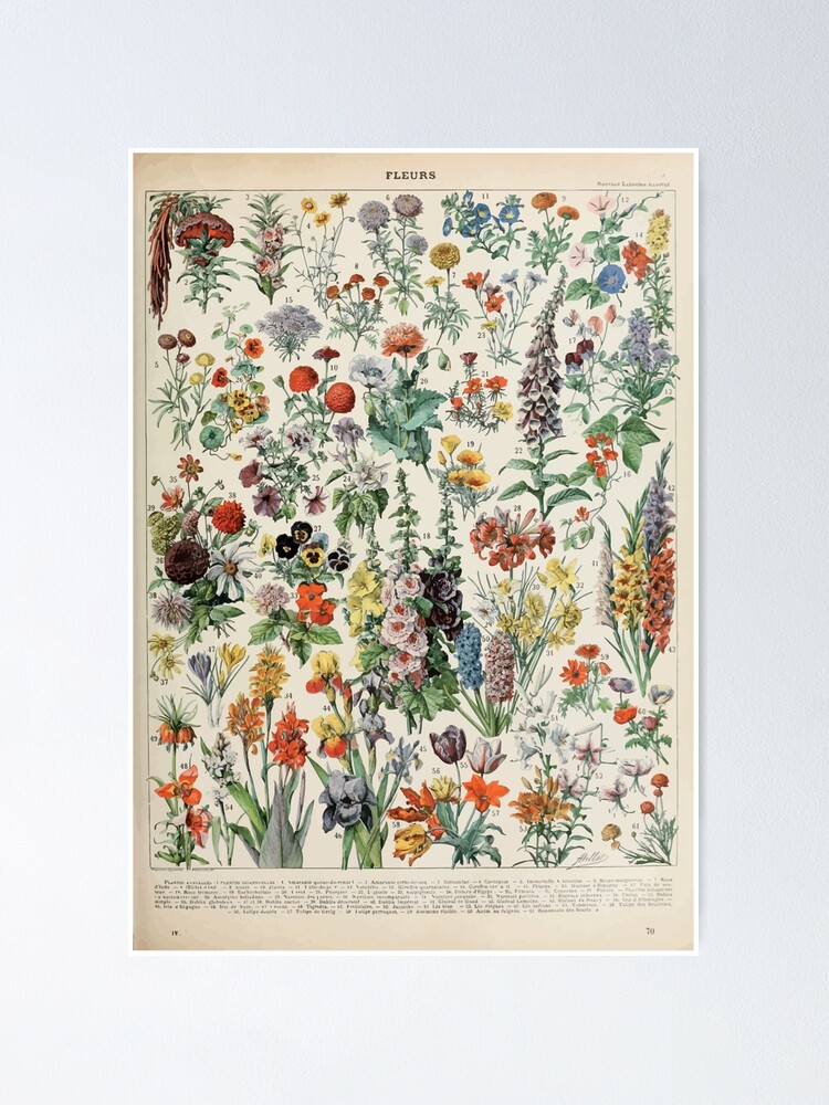 Alternate view of Adolphe Millot fleurs A Poster