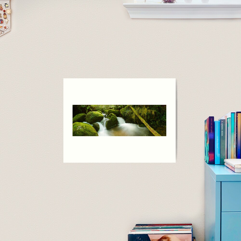 Dawn Moss, Toorongo River, Gippsland, Victoria, Australia Art Print