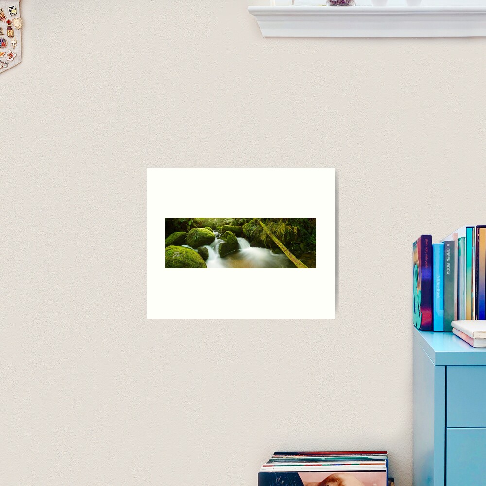 Dawn Moss, Toorongo River, Gippsland, Victoria, Australia Art Print