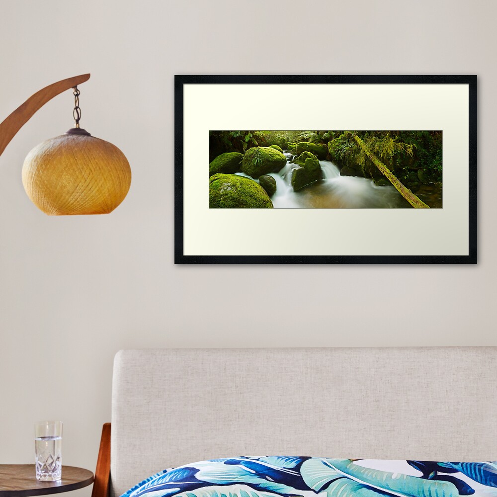 Dawn Moss, Toorongo River, Gippsland, Victoria, Australia Framed Art Print