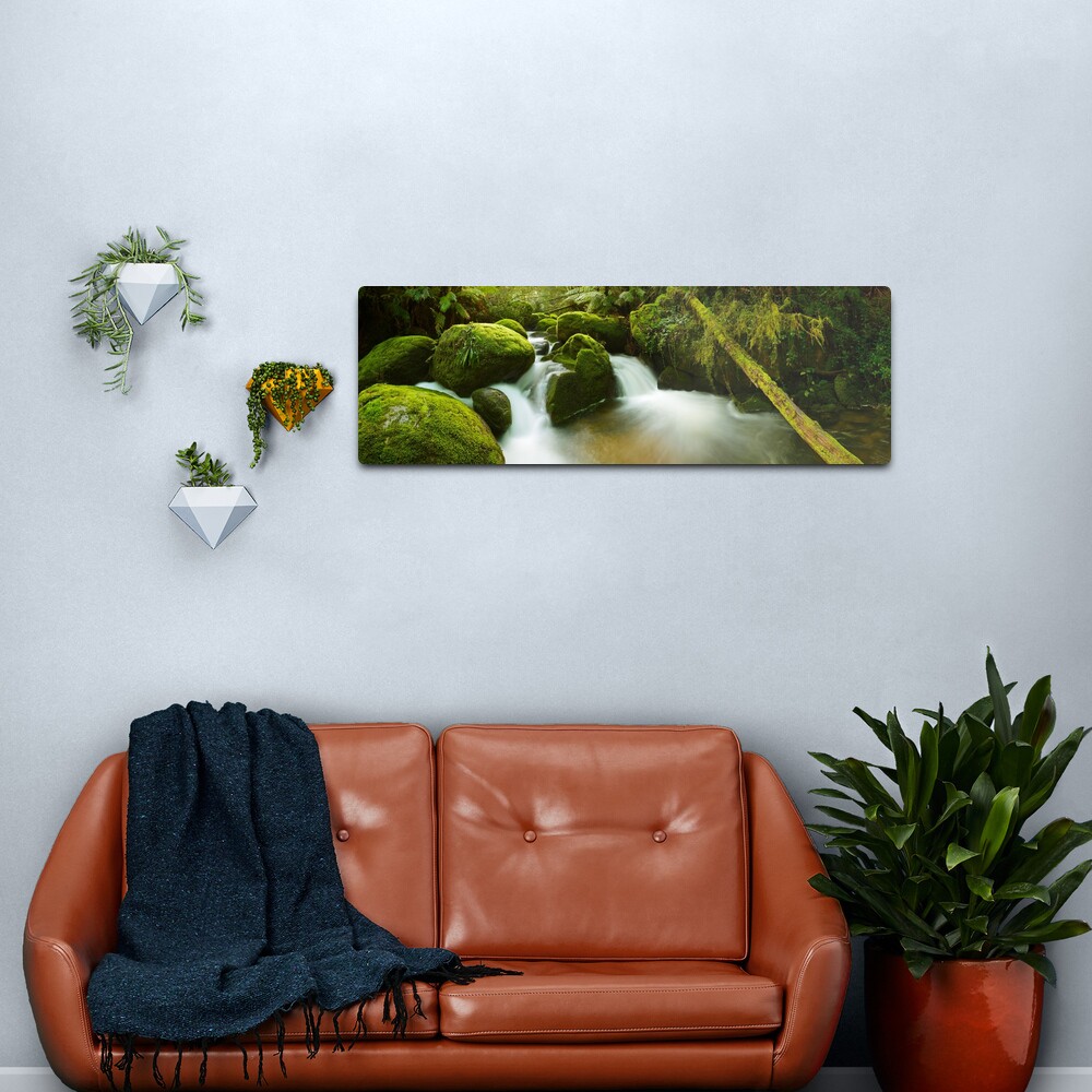 Dawn Moss, Toorongo River, Gippsland, Victoria, Australia Metal Print