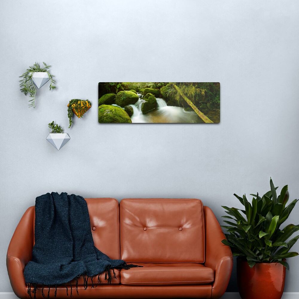 Dawn Moss, Toorongo River, Gippsland, Victoria, Australia Metal Print