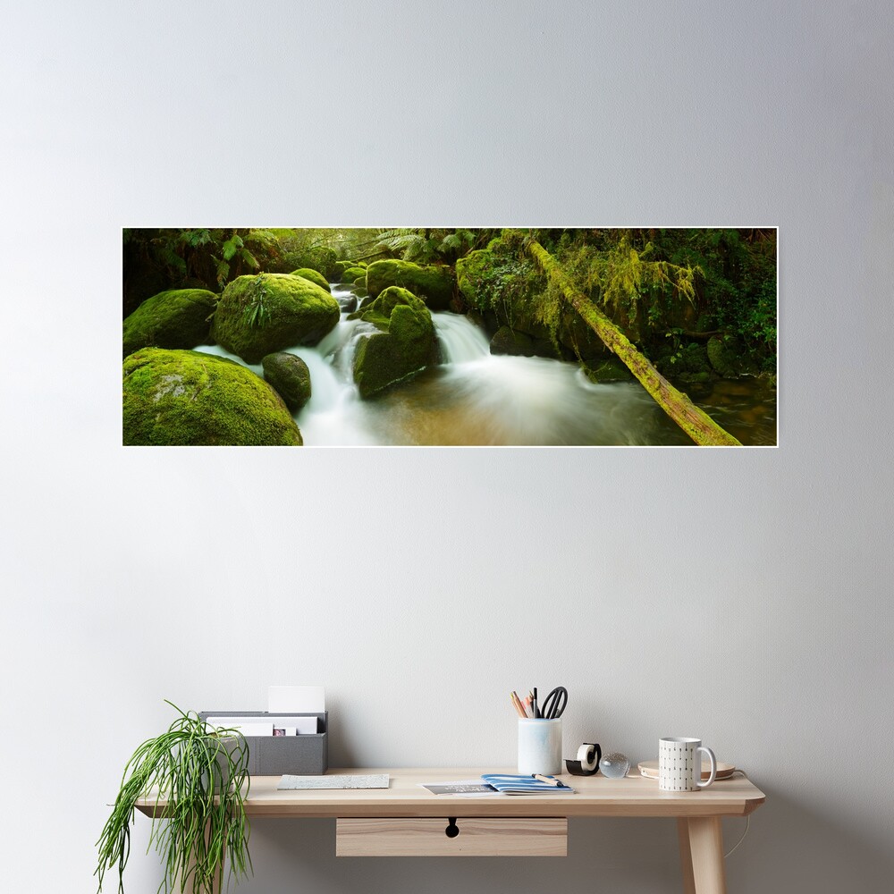 Dawn Moss, Toorongo River, Gippsland, Victoria, Australia Poster