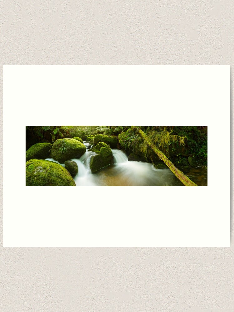 Alternate view of Dawn Moss, Toorongo River, Gippsland, Victoria, Australia Art Print