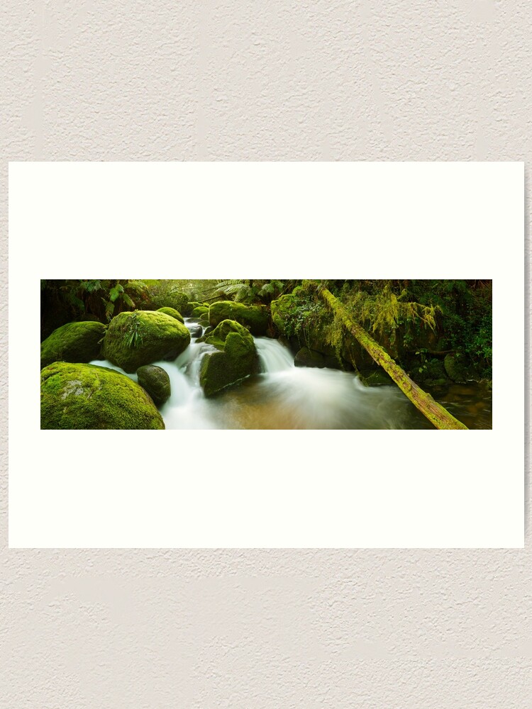 Thumbnail 1 of 3, Art Print, Dawn Moss, Toorongo River, Gippsland, Victoria, Australia designed and sold by Chockstone.