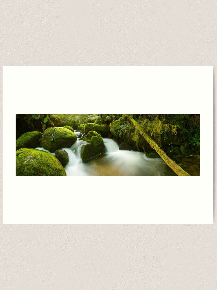Alternate view of Dawn Moss, Toorongo River, Gippsland, Victoria, Australia Art Print