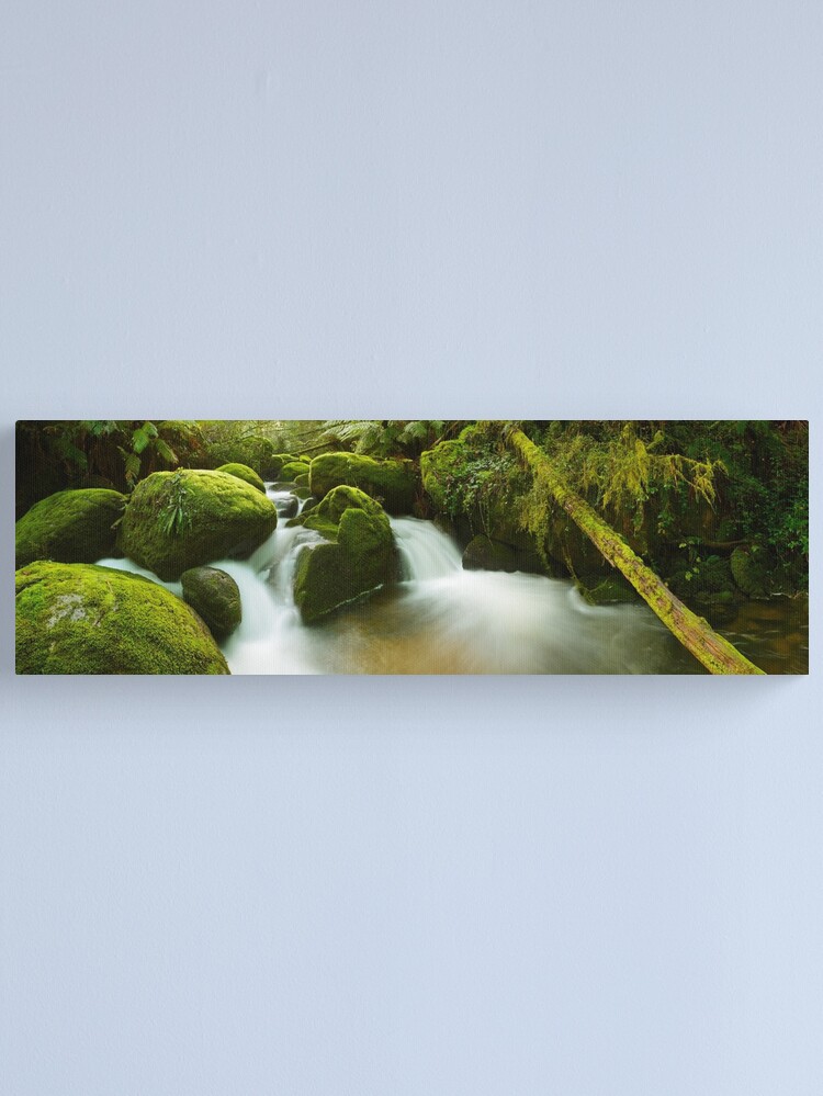 Alternate view of Dawn Moss, Toorongo River, Gippsland, Victoria, Australia Canvas Print