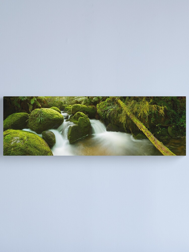 Alternate view of Dawn Moss, Toorongo River, Gippsland, Victoria, Australia Canvas Print