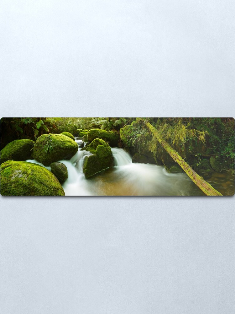 Alternate view of Dawn Moss, Toorongo River, Gippsland, Victoria, Australia Metal Print