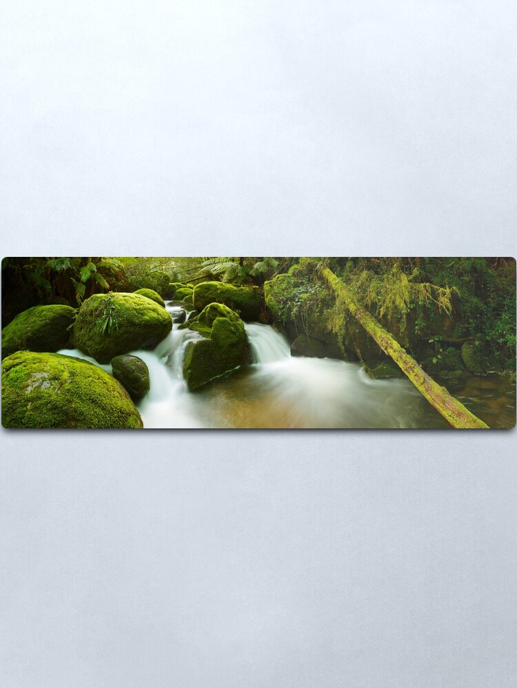 Alternate view of Dawn Moss, Toorongo River, Gippsland, Victoria, Australia Metal Print
