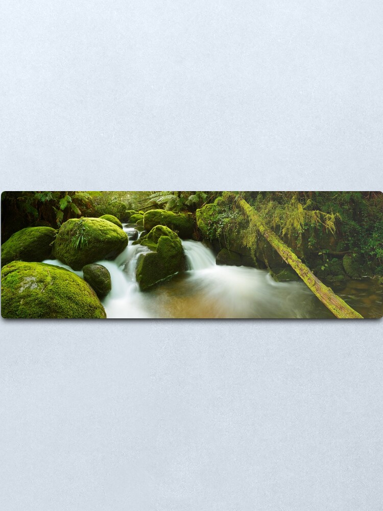 Alternate view of Dawn Moss, Toorongo River, Gippsland, Victoria, Australia Metal Print