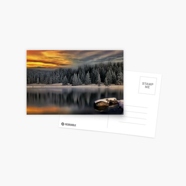 Snowy Landscape Postcard
