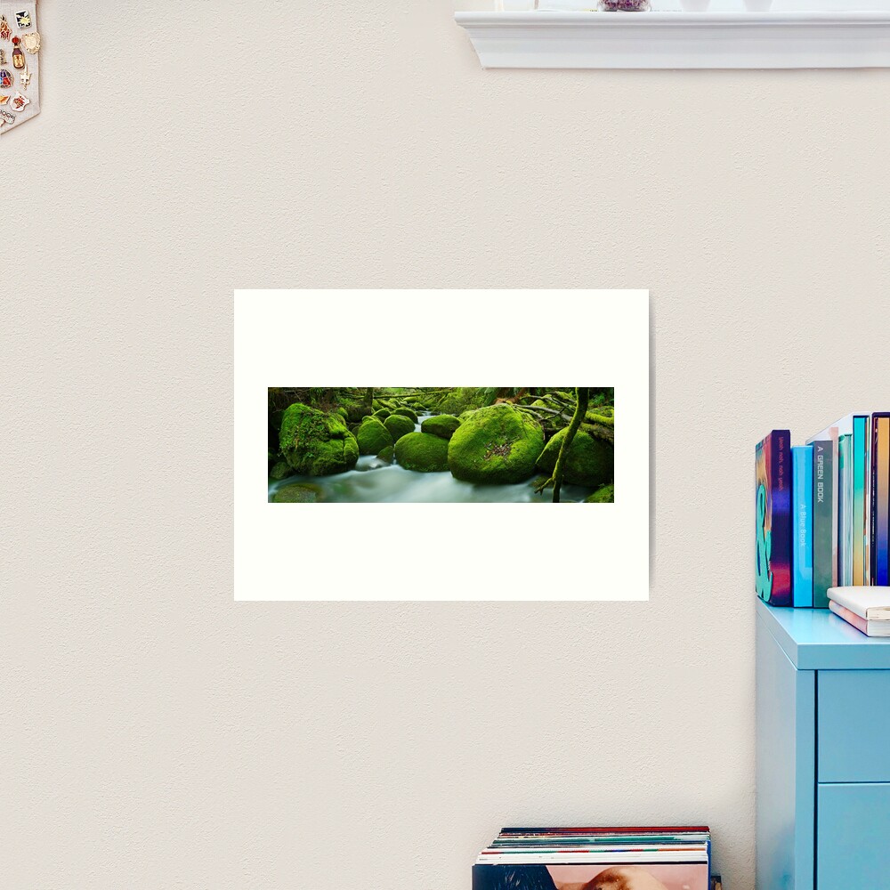 Greenery, Toorongo River, Gippsland, Victoria, Australia Art Print