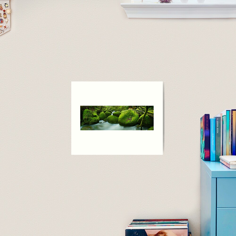 Greenery, Toorongo River, Gippsland, Victoria, Australia Art Print