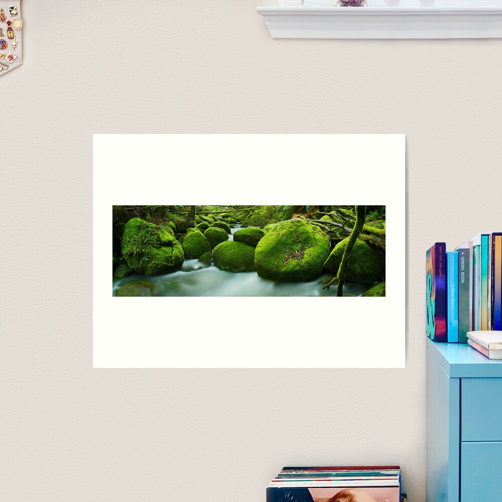 Greenery, Toorongo River, Gippsland, Victoria, Australia Art Print