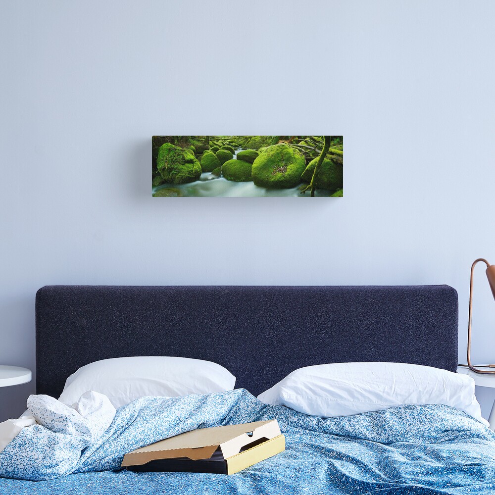 Greenery, Toorongo River, Gippsland, Victoria, Australia Canvas Print