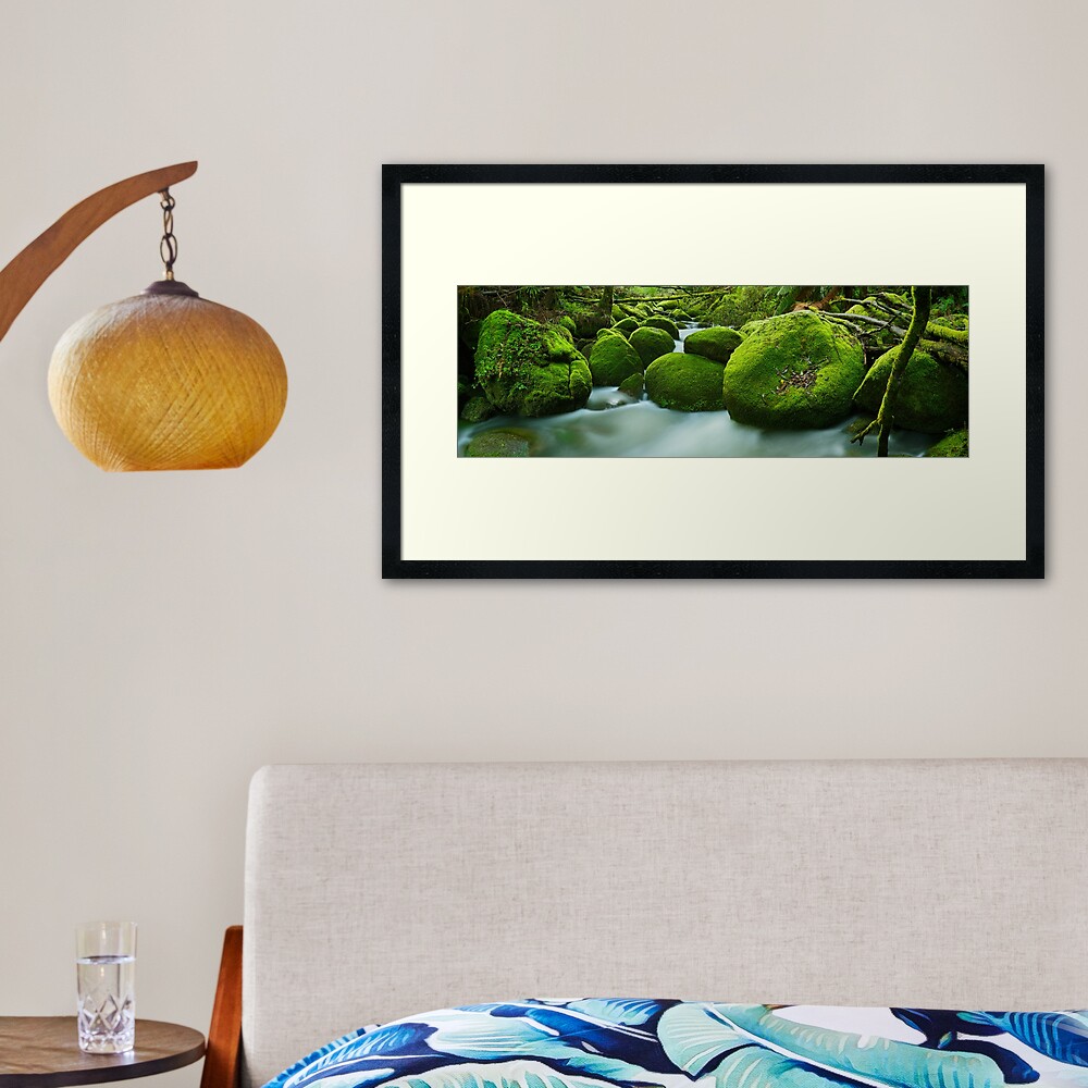 Greenery, Toorongo River, Gippsland, Victoria, Australia Framed Art Print