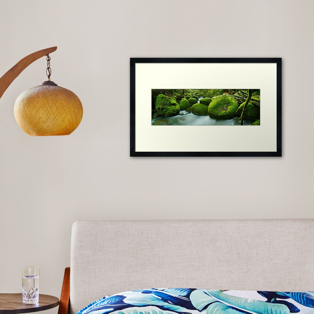 Greenery, Toorongo River, Gippsland, Victoria, Australia Framed Art Print