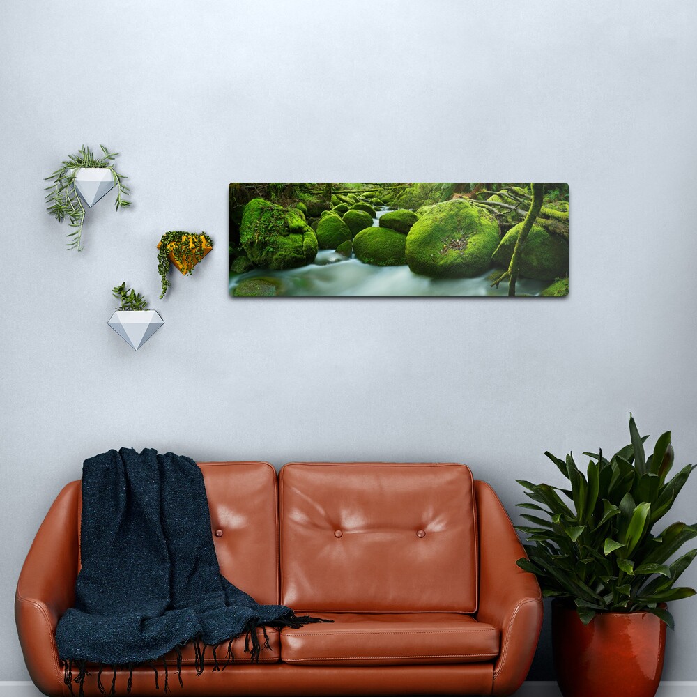 Greenery, Toorongo River, Gippsland, Victoria, Australia Metal Print