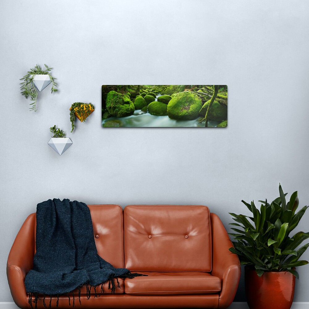 Greenery, Toorongo River, Gippsland, Victoria, Australia Metal Print