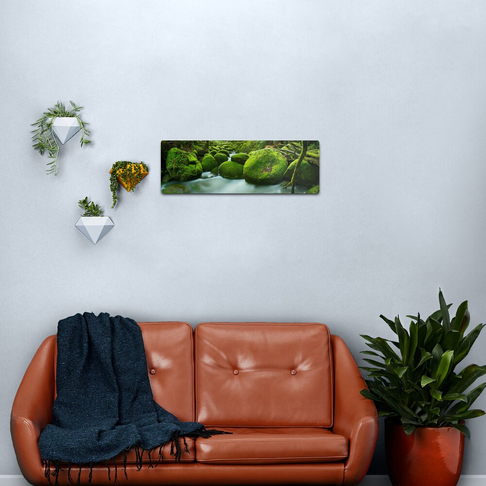 Greenery, Toorongo River, Gippsland, Victoria, Australia Metal Print