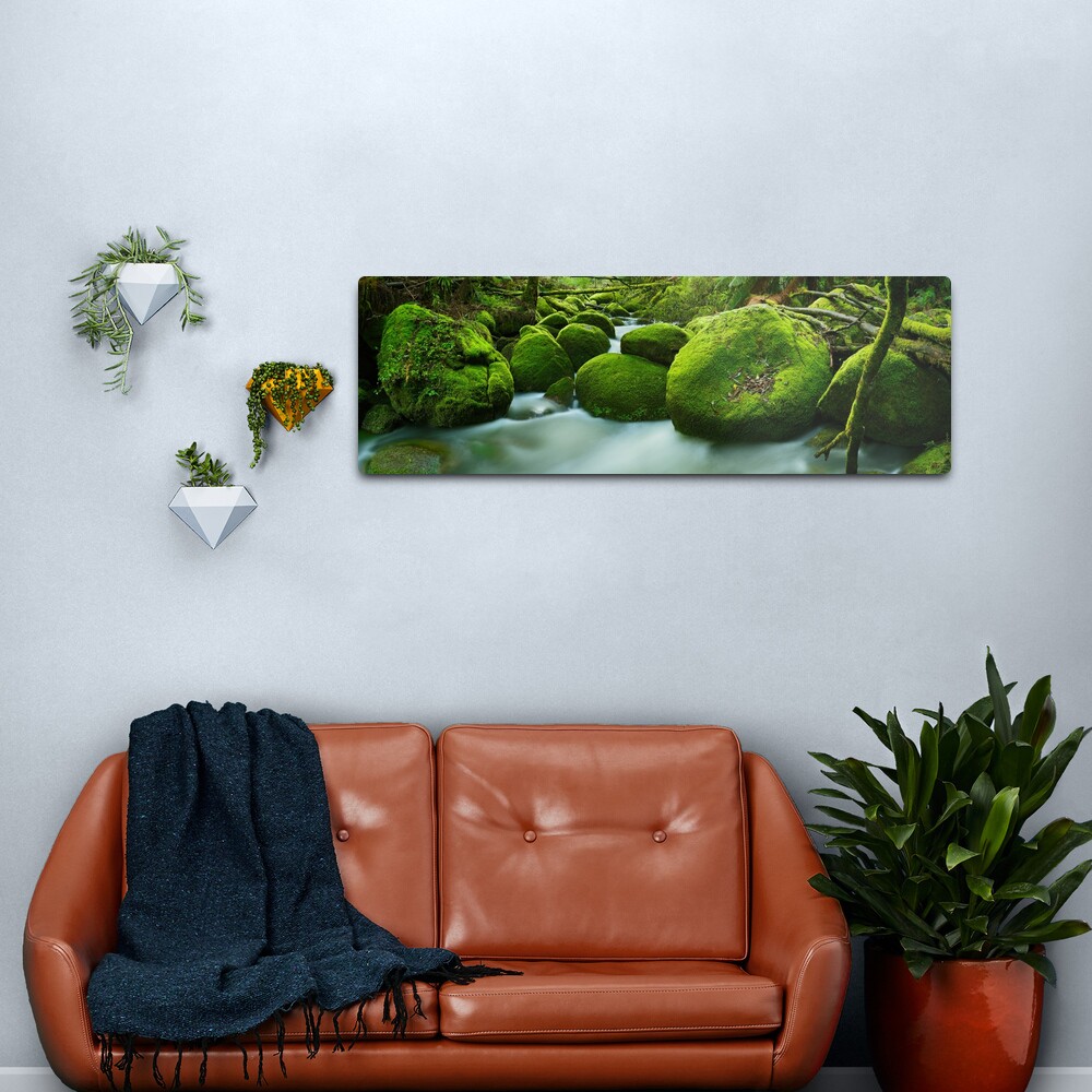 Greenery, Toorongo River, Gippsland, Victoria, Australia Metal Print