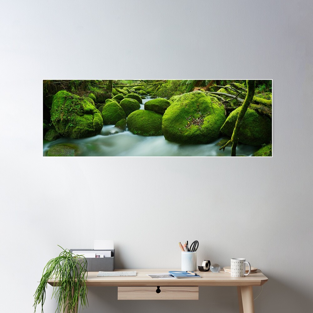 Greenery, Toorongo River, Gippsland, Victoria, Australia Poster