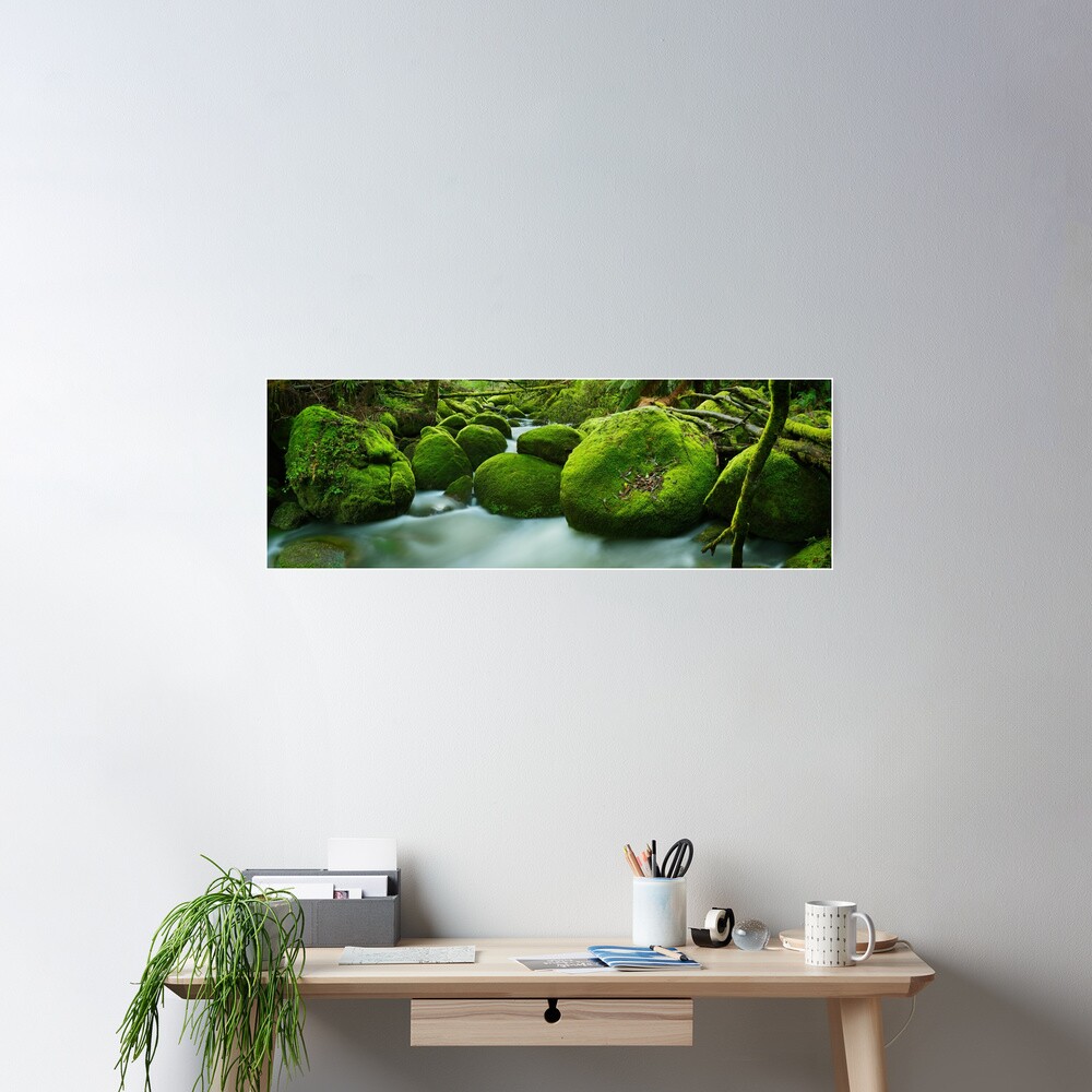 Greenery, Toorongo River, Gippsland, Victoria, Australia Poster