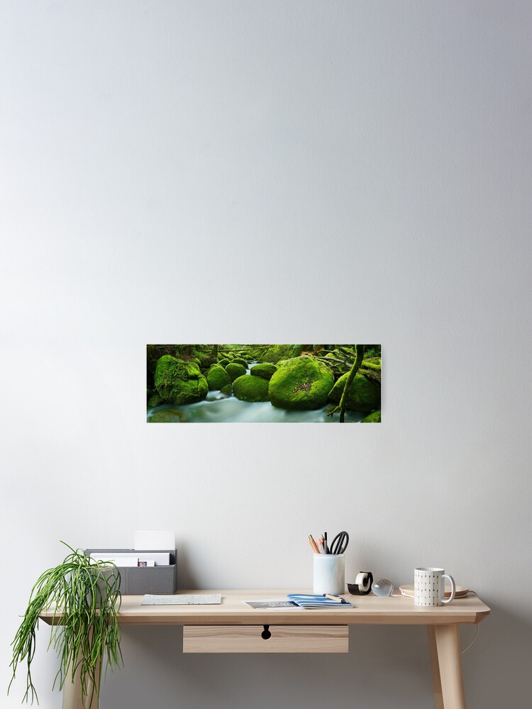 Thumbnail 2 of 3, Poster, Greenery, Toorongo River, Gippsland, Victoria, Australia designed and sold by Chockstone.