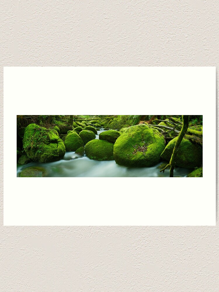 Alternate view of Greenery, Toorongo River, Gippsland, Victoria, Australia Art Print