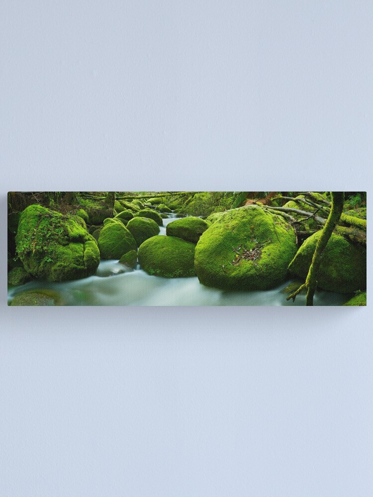 Alternate view of Greenery, Toorongo River, Gippsland, Victoria, Australia Canvas Print