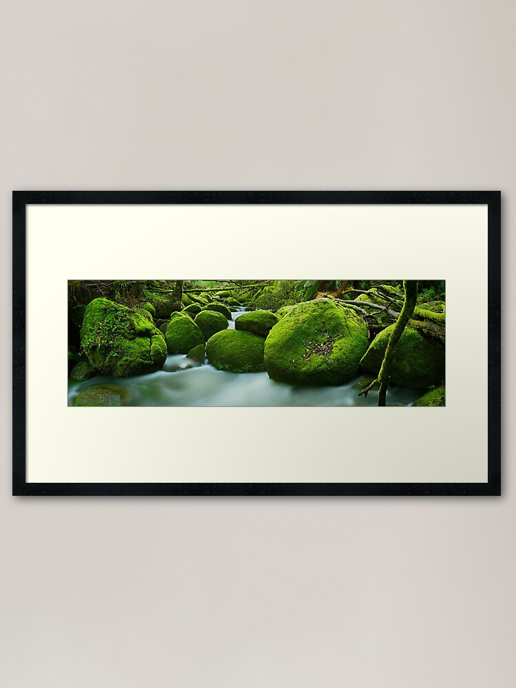 Alternate view of Greenery, Toorongo River, Gippsland, Victoria, Australia Framed Art Print