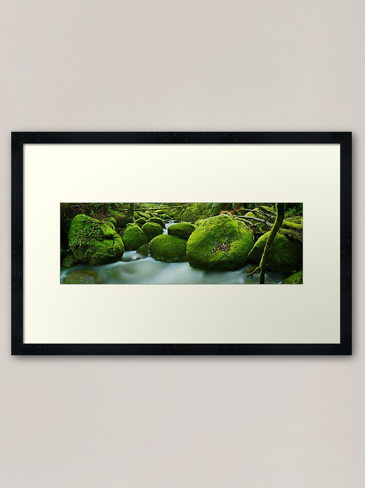 Alternate view of Greenery, Toorongo River, Gippsland, Victoria, Australia Framed Art Print