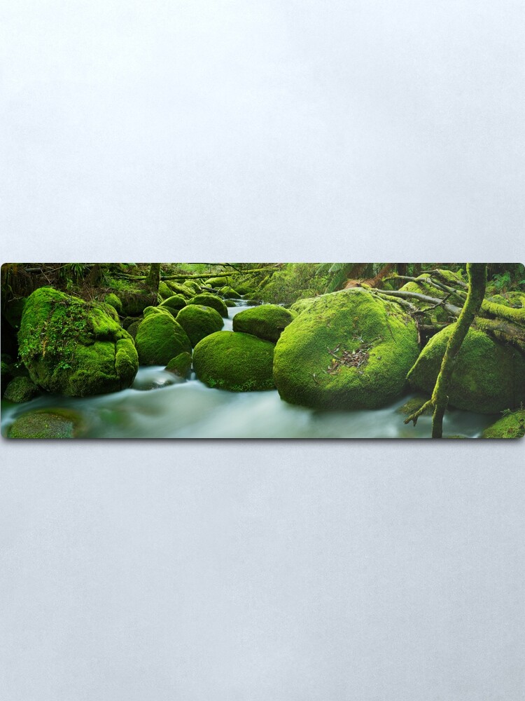 Alternate view of Greenery, Toorongo River, Gippsland, Victoria, Australia Metal Print
