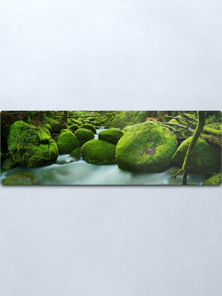 Alternate view of Greenery, Toorongo River, Gippsland, Victoria, Australia Metal Print