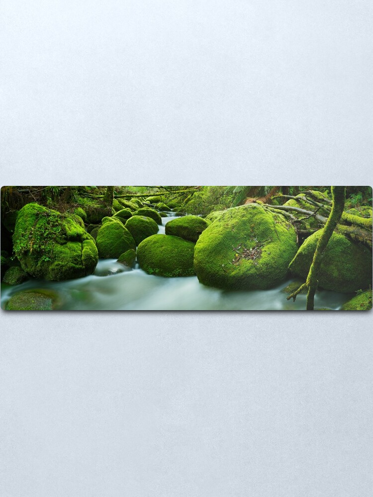 Alternate view of Greenery, Toorongo River, Gippsland, Victoria, Australia Metal Print