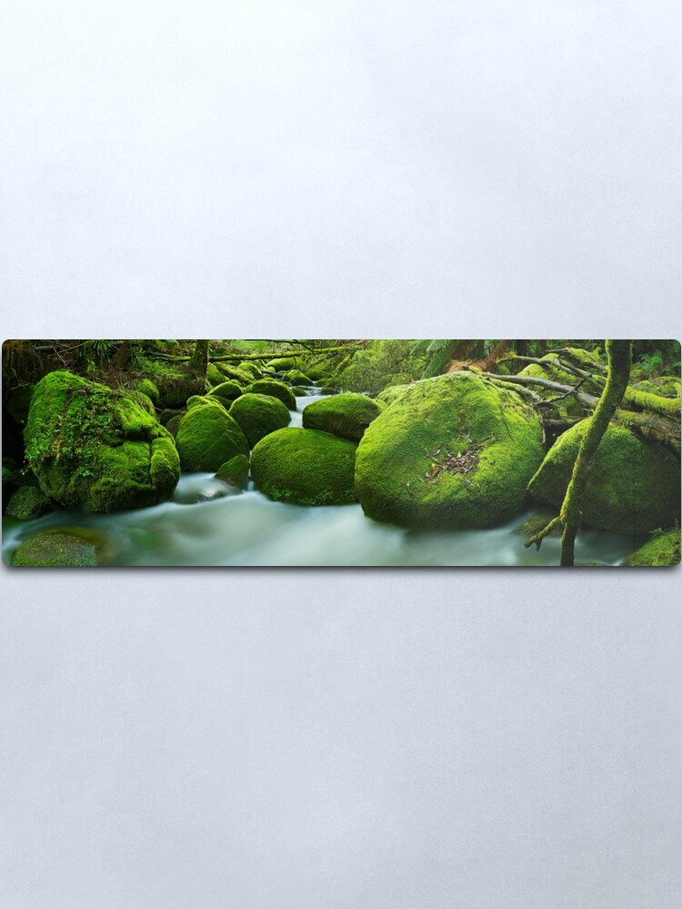Alternate view of Greenery, Toorongo River, Gippsland, Victoria, Australia Metal Print